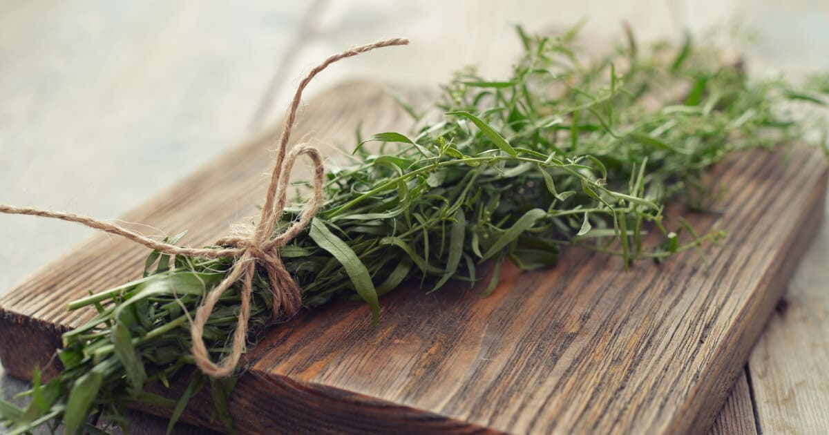 Estragon Vorteile, Ernährung und wie zu verwenden