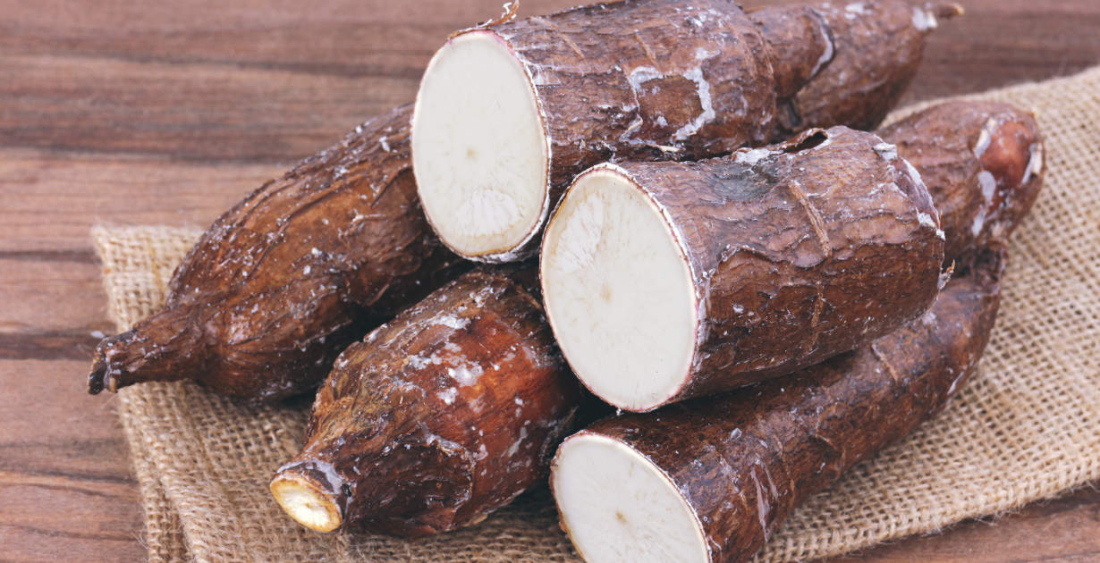 Yucca Wurzel Vorteile Immunit t Haut Gelenke Mehr Dr med Julia